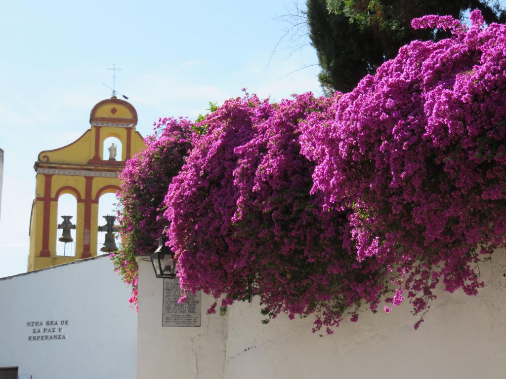 Escalinata de la Cuesta del Bailio en Córdoba