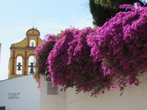 Escalinata de la Cuesta del Bailio en Córdoba