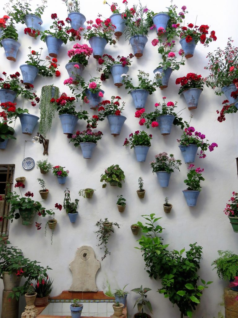 Patio Juan Rufo durante la Fiesta de Los Patios 2017 de Córdoba