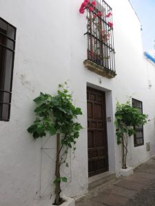 Calle del Pañuelo en Córdoba