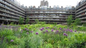 Nigel Dunnett Gardens