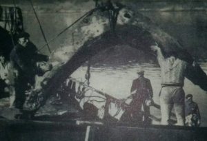 Tesoros de la Batalla de Rande
