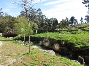 ruta de los muiños do Folón e do Picón