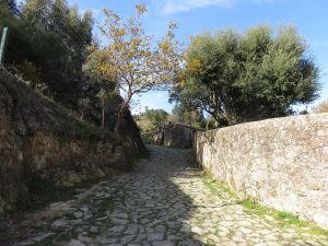 ruta de los muiños do Folón e do Picón