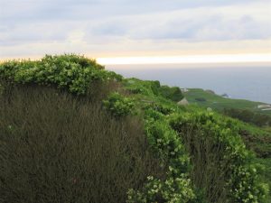 Alrededores de Bares