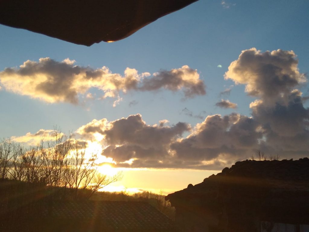 Confinamiento y Libertad - Diarios de la cuarentena