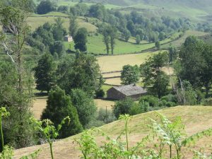 Conocer Cantabria, tenemos sincio de La Tierruca