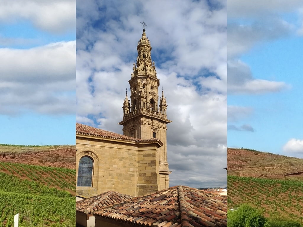 halcón lado concepto Santo Domingo de la Calzada, en La Rioja - El viajero accidental