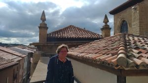 Cubiertas de la Catedral de Santo Domingo de la Calzada