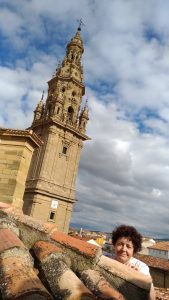 Tejados Catedral de Santo Domingo de la Calzada