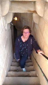 Tejados Catedral de Santo Domingo de la Calzada