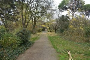 Parque El Capricho el gran desconocido de Madrid