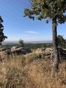 Miraflores de la Sierra en verano