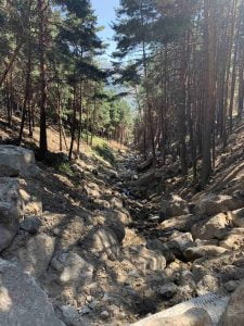 Miraflores de la Sierra en verano