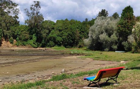 IMG_20200816_125150_1