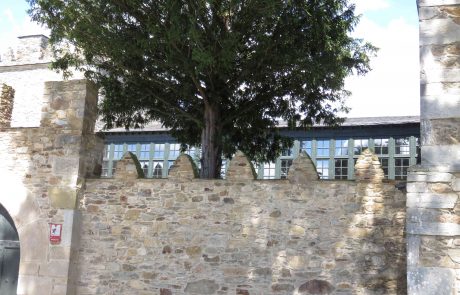 Senda costera peatonal entre Castropol y Figueras