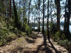 Senda costera peatonal entre Castropol y Figueras