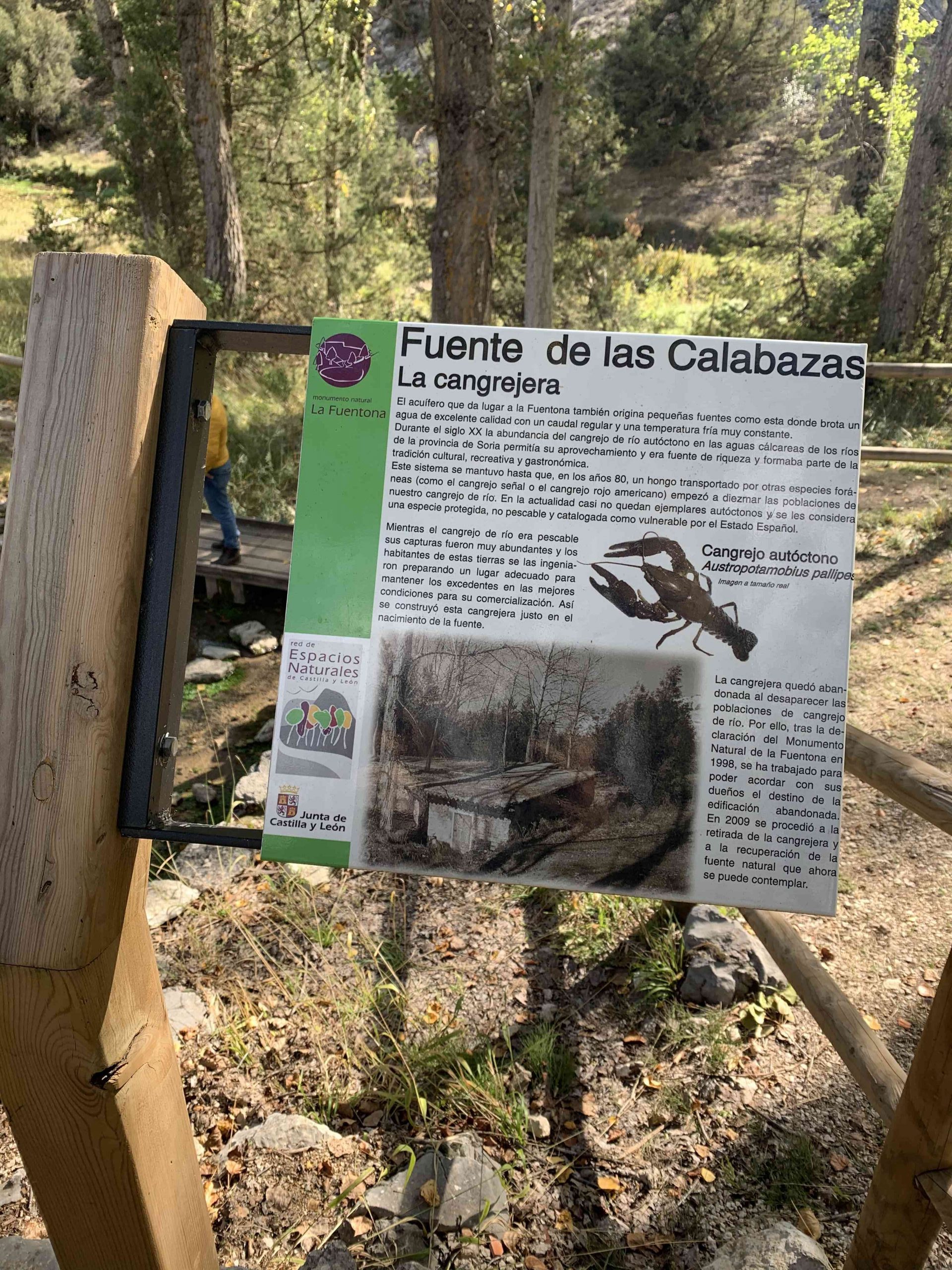 Senderismo por el Sabinar y la Fuentona en Calatañazor