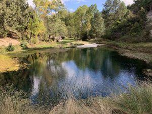 Senderismo por el Sabinar y la Fuentona en Calatañazor