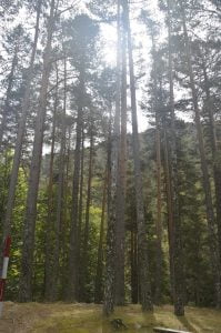 Duruelo de la Sierra y la Laguna Negra