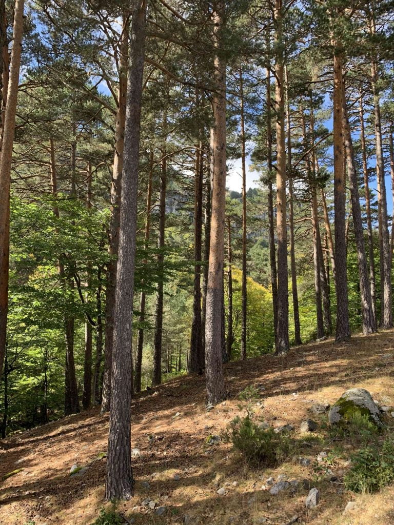 Duruelo de la Sierra y la Laguna Negra