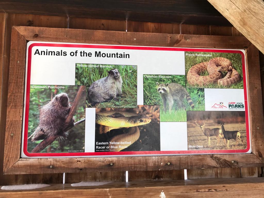 Animales que habitan en Bear Butte State Park
