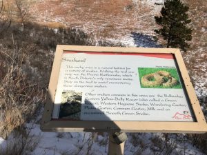 Serpientes en Bear Butte State Park