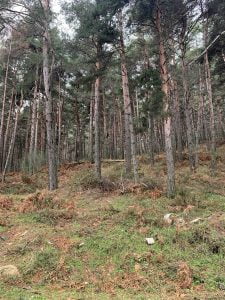 Los búnkeres de Los Molinos en Guadarrama