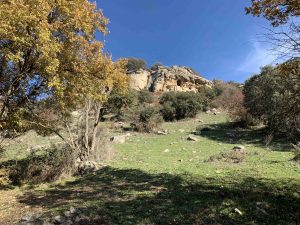 Senderismo por Guadalix de la Sierra