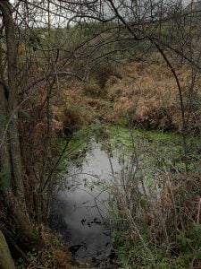 Los búnkeres de Los Molinos en Guadarrama