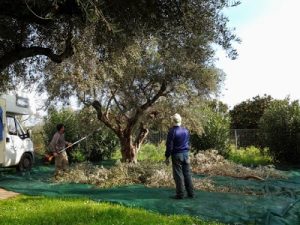 Seguimos por el Peloponeso