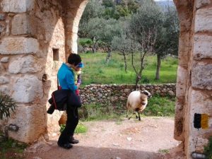 Qué hacer en Esparta con amigos