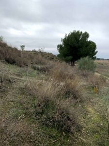 Los búnkeres de Pinto en Madrid