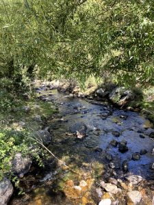Senderismo por la Cascada del Hornillo