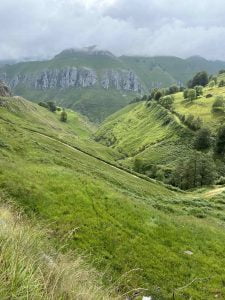 Selaya es sobaos y cubos heráldicos