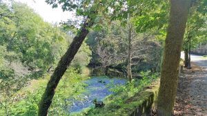 río Tea en Mondariz Balneario