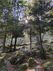 Senderismo por el Mirador de la Chorrera de Mojonavalle