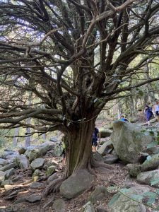 Senderismo por el Mirador de la Chorrera de Mojonavalle