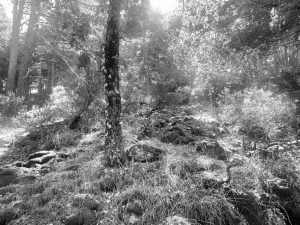 Senderismo por el Mirador de la Chorrera de Mojonavalle