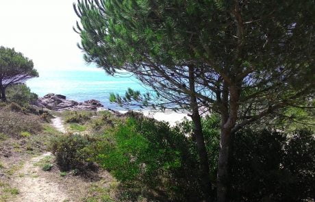 Playa_de_Barra