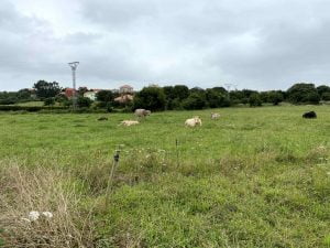 La senda costera entre Pontejos y Pedreña