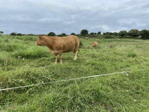 Senderismo entre Mortera y Los Urros en Cantabria