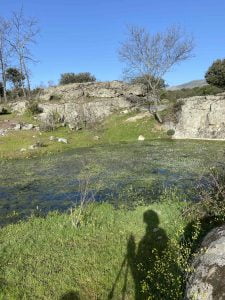 Senderismo por La Cabrera en Madrid