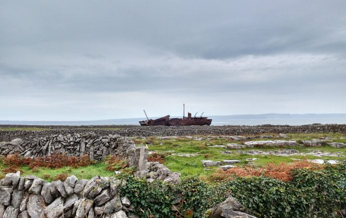 Portada El ultimo viaje del Plassey