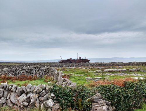 El último viaje del Plassey