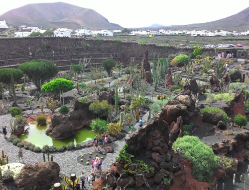 El Jardín de Cactus de Lanzarote