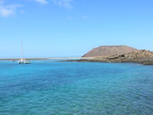 Portada artículo Isla de Lobos