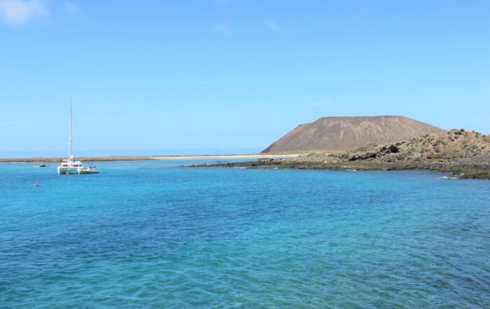 Portada artículo Isla de Lobos