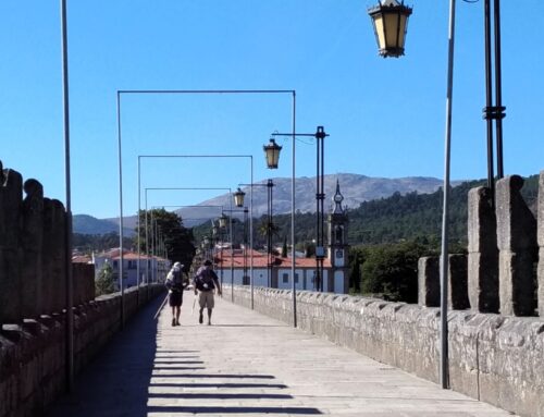 El Camino de Santiago Portugués