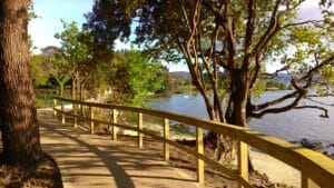 Senda de O Laño en Covelo